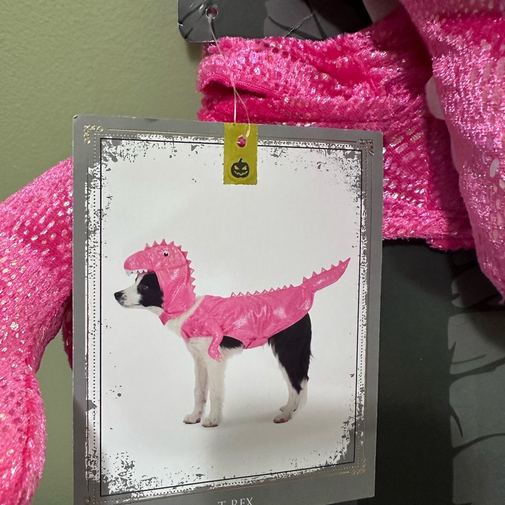 Sparkly Pink Dino Dog Outfit